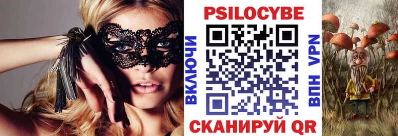 Псилоцибиновые грибы Psilocybe  Брюховецкая 